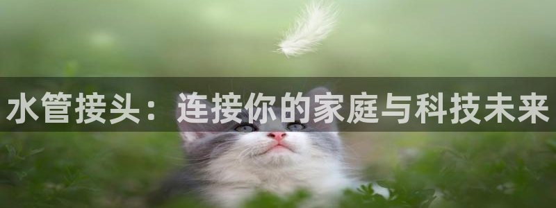 天辰辰娱乐代理