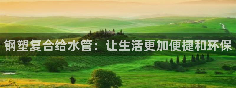 天辰娱乐 849852