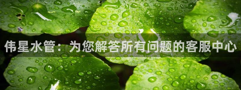 天辰娱乐解封