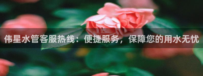 天辰娱乐 首选