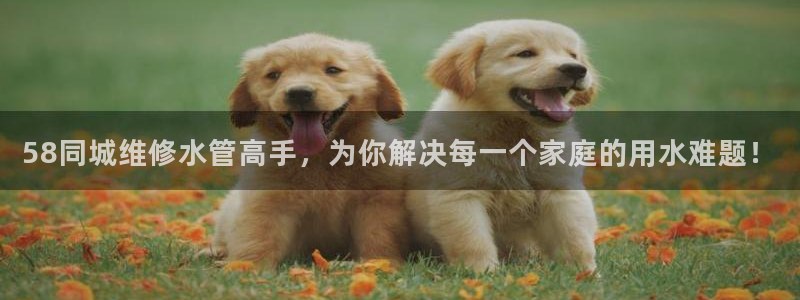 天辰娱乐平台入口