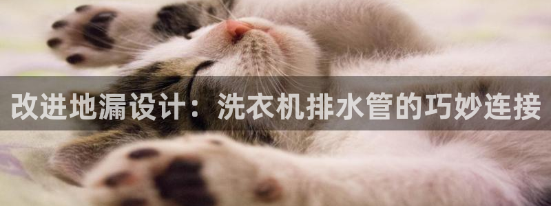 天辰娱乐 849852