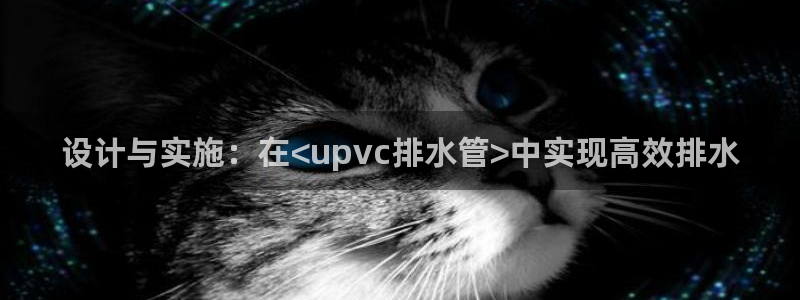 天辰娱乐 849852