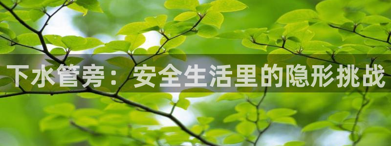 天辰天富娱乐登录