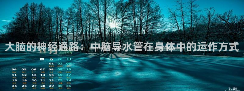 天辰娱乐分红