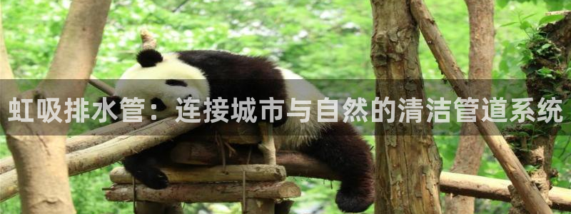 天辰娱乐简介