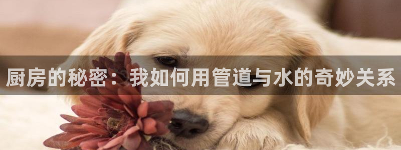 天辰臣娱乐