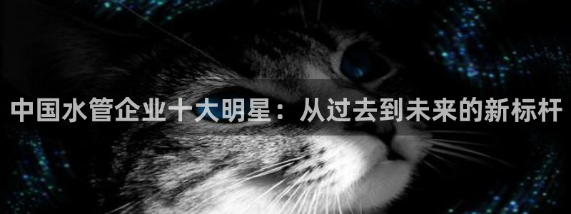 天辰娱乐小姐