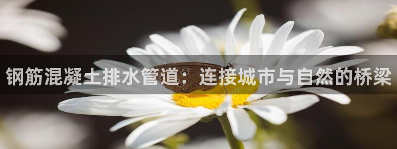 天辰娱乐会所