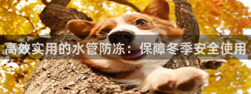 北京天辰娱乐