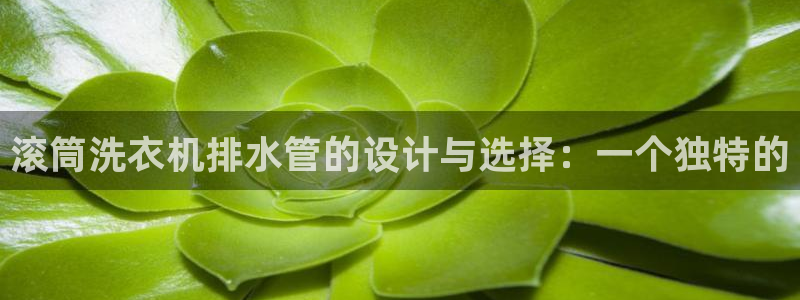 天辰娱乐酒店