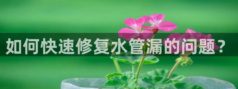 天辰娱乐在线