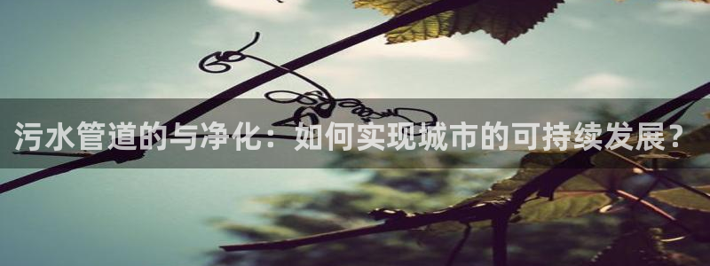 天辰娱乐1980