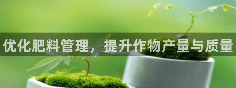 手机上怎么下载天辰娱乐