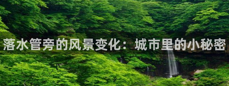 天辰娱乐服务