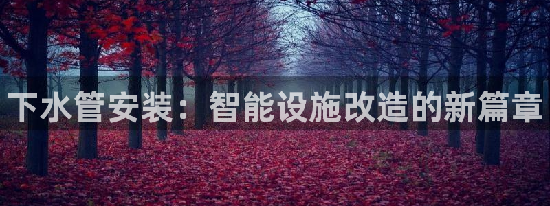天辰娱乐app