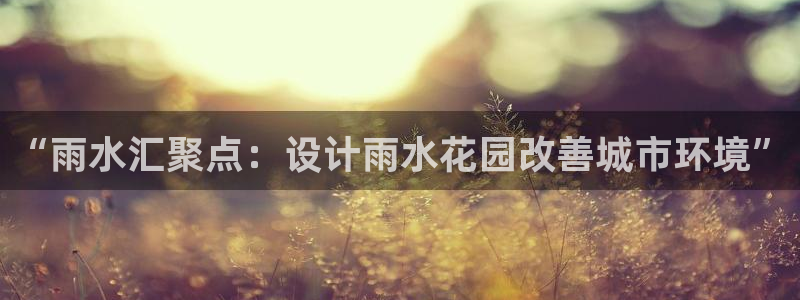 天辰娱乐44616