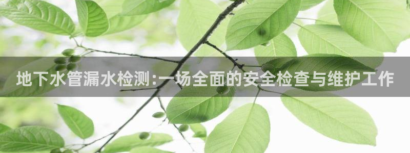 天辰娱乐解封