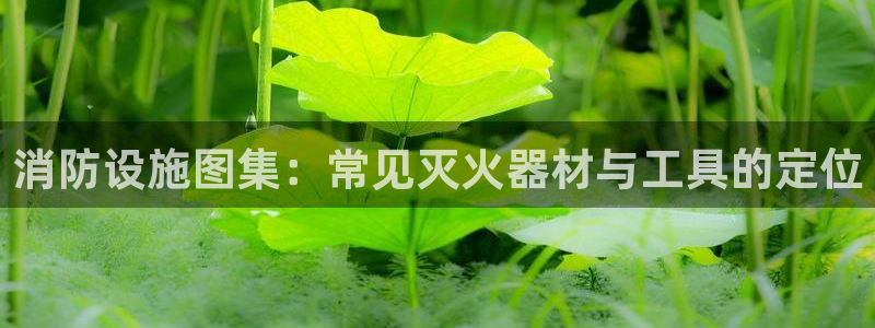 天辰娱乐厕所