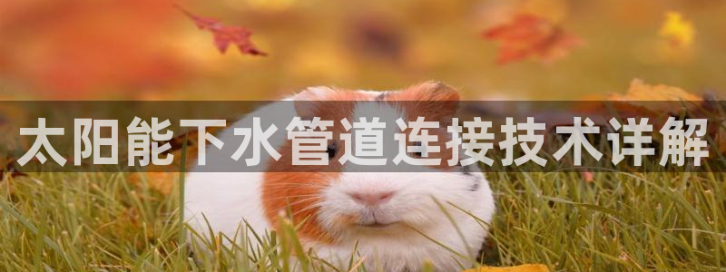 天辰app娱乐