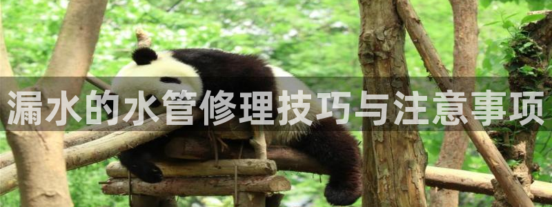 天辰娱乐代理