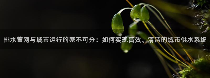 天辰娱乐官