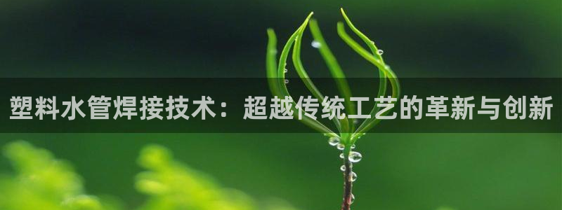 天辰娱乐鱼刺