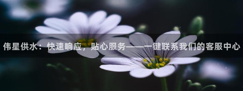 天辰娱乐主页