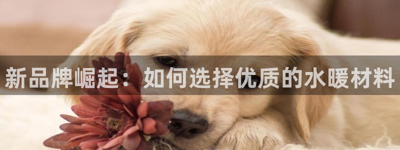 天辰娱乐官