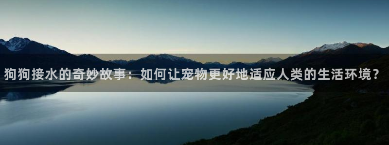天辰娱乐厕所