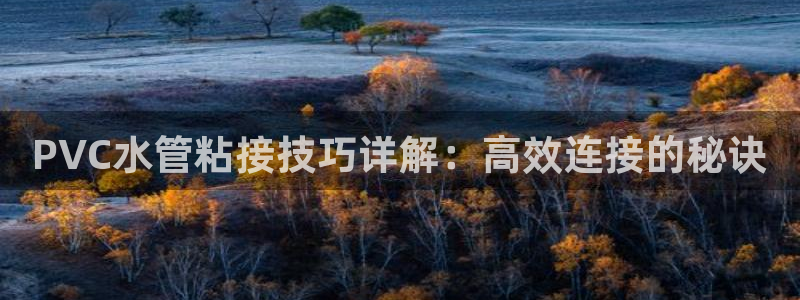 天辰娱乐厕所