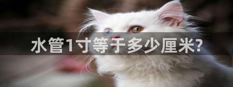 天辰娱乐集团