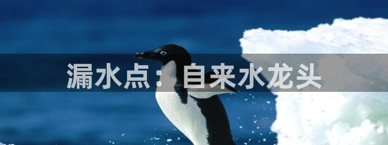 天辰娱乐1980