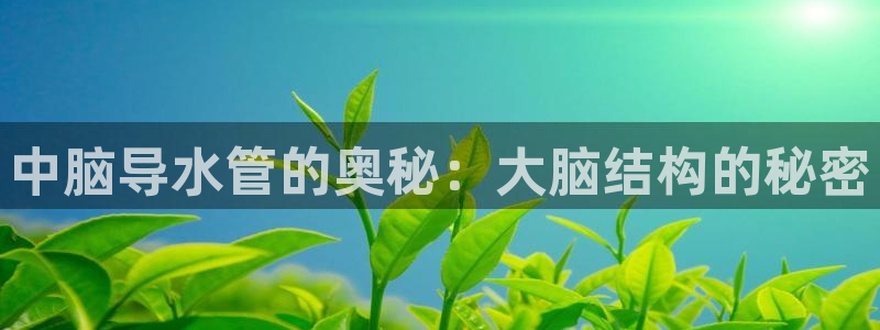 天辰娱乐44616