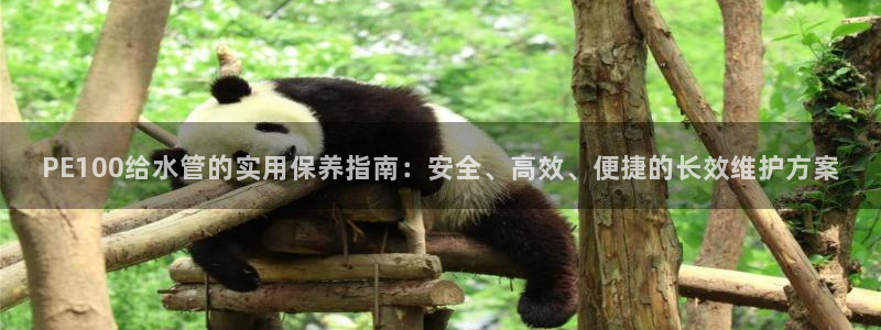 天辰娱乐待遇