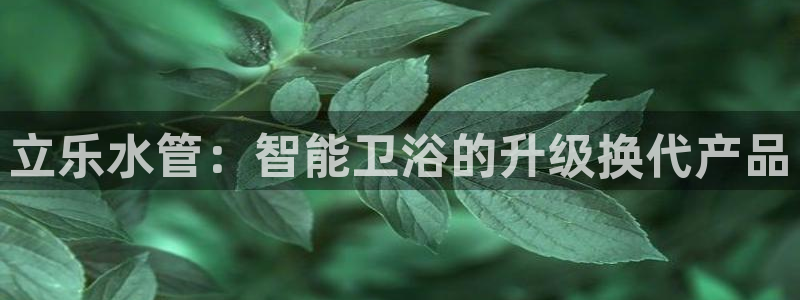 天辰宝宝娱乐