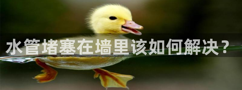 天辰娱乐股票