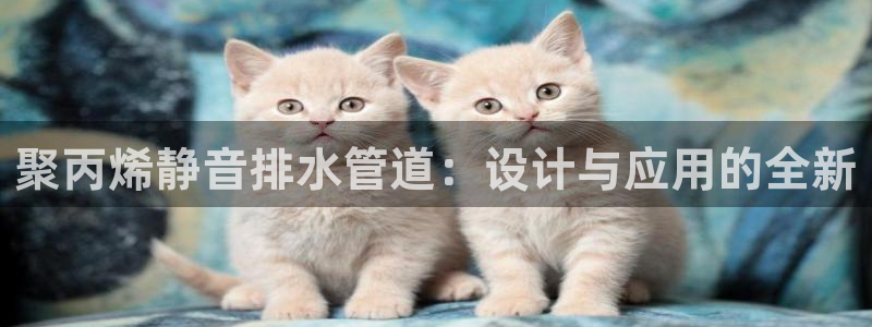 菲律宾天辰娱乐