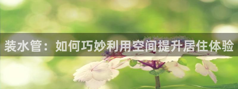 天辰娱乐官网平台入口