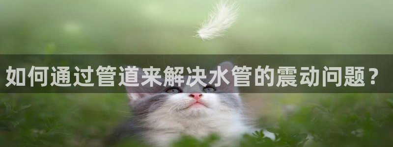 天辰娱乐ttf