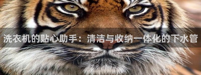 天辰娱乐下载地址