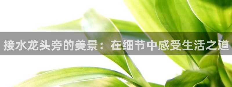 天辰水娱乐