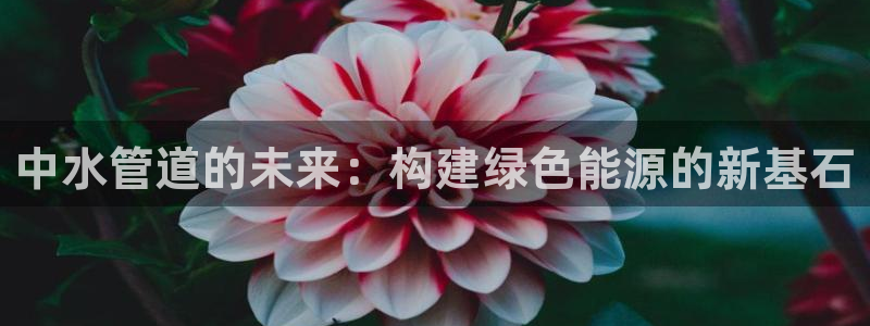 天辰娱乐新