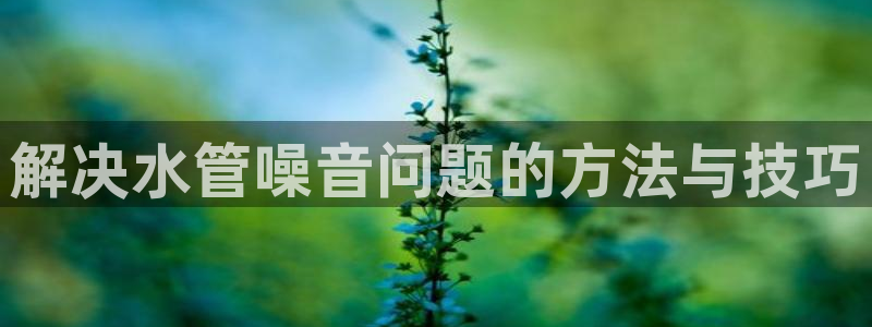 天辰娱乐总管