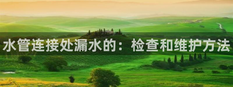 天辰娱乐跑的快