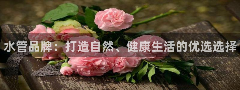 天辰团队贝高娱乐